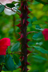 Similar image 22245354