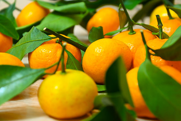 Similar image 22245355