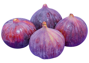 Similar image 22245356