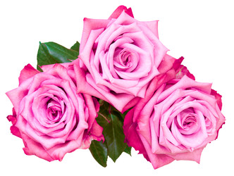 Similar image 22245359