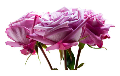 Similar image 22245360