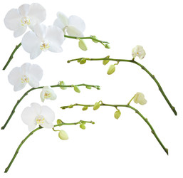 Similar image 22245366