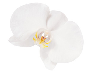 Similar image 22245367