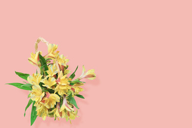 Similar image 22245372