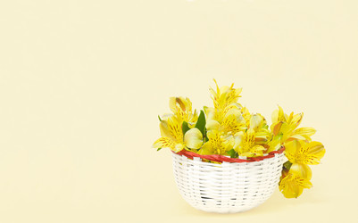 Similar image 22245373