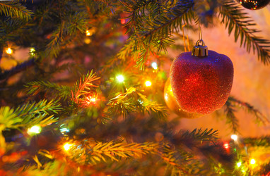 Similar image 22245384