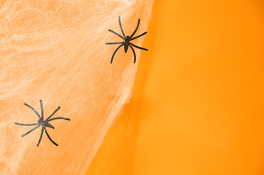 Similar image 22245394