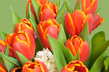 Similar image 22245399