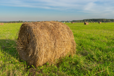 Similar image 22246663