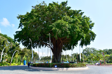 Similar image 22245236