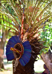 Similar image 22245238