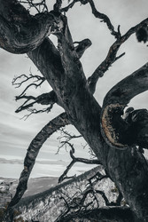 Similar image 22246940