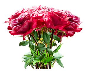 Similar image 22245401