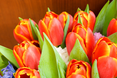 Similar image 22245405