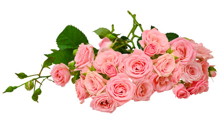 Similar image 22245407