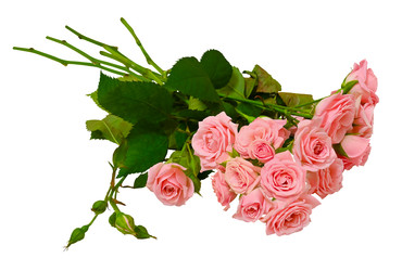 Similar image 22245408