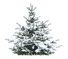 Similar image 22245415