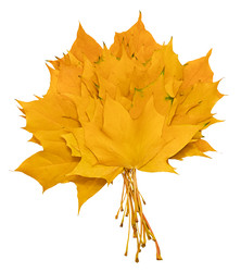 Similar image 22245437