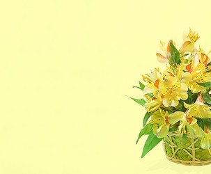 Similar image 22245441