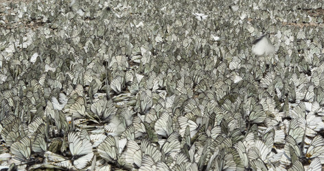 Similar image 22245240