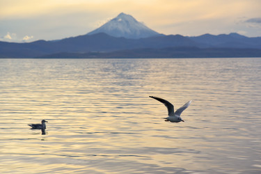 Similar image 22245243