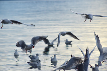 Similar image 22245244