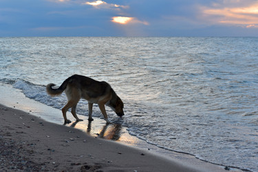 Similar image 22245246