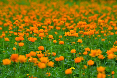 Similar image 22245248