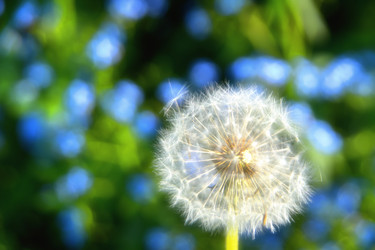 Similar image 22245249