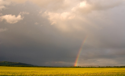 Similar image 22245450