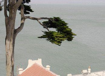 Similar image 22245453