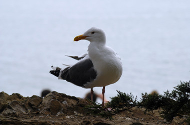 Similar image 22245454