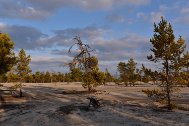 Similar image 22245459