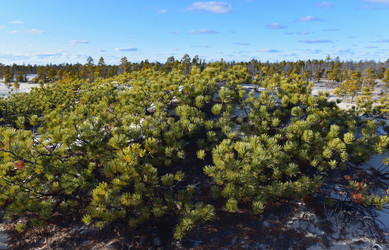 Similar image 22245460