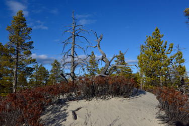 Similar image 22245461