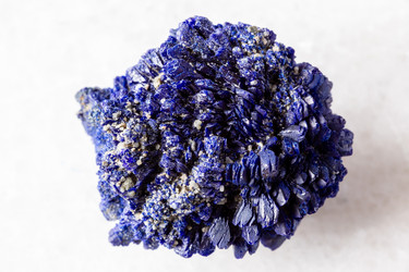 Similar image 22258334