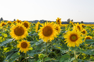 Similar image 22247524