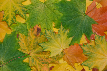 Similar image 22245476