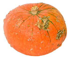 Similar image 22245477