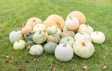 Similar image 22246666