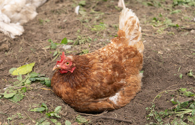 Similar image 22246667