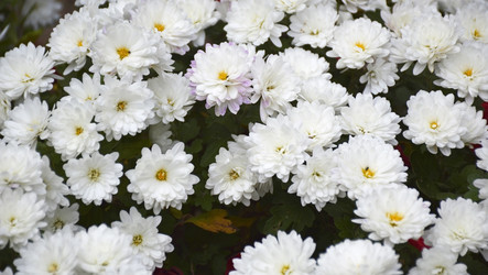 Similar image 22245218