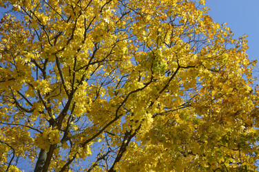 Similar image 22245220