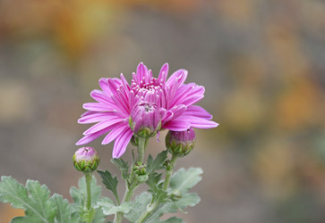 Similar image 22245223