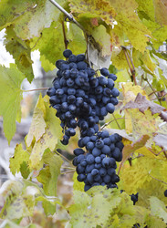 Similar image 22245225