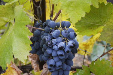 Similar image 22245229