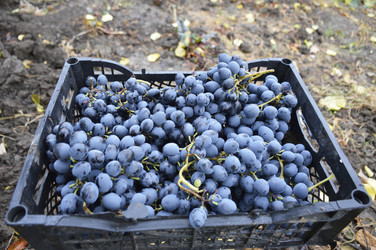 Similar image 22245230