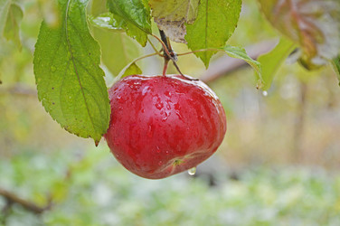 Similar image 22245233