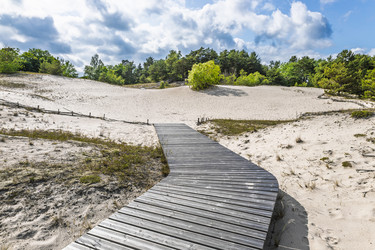 Similar image 22247449