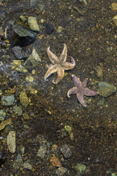 Similar image 22248027